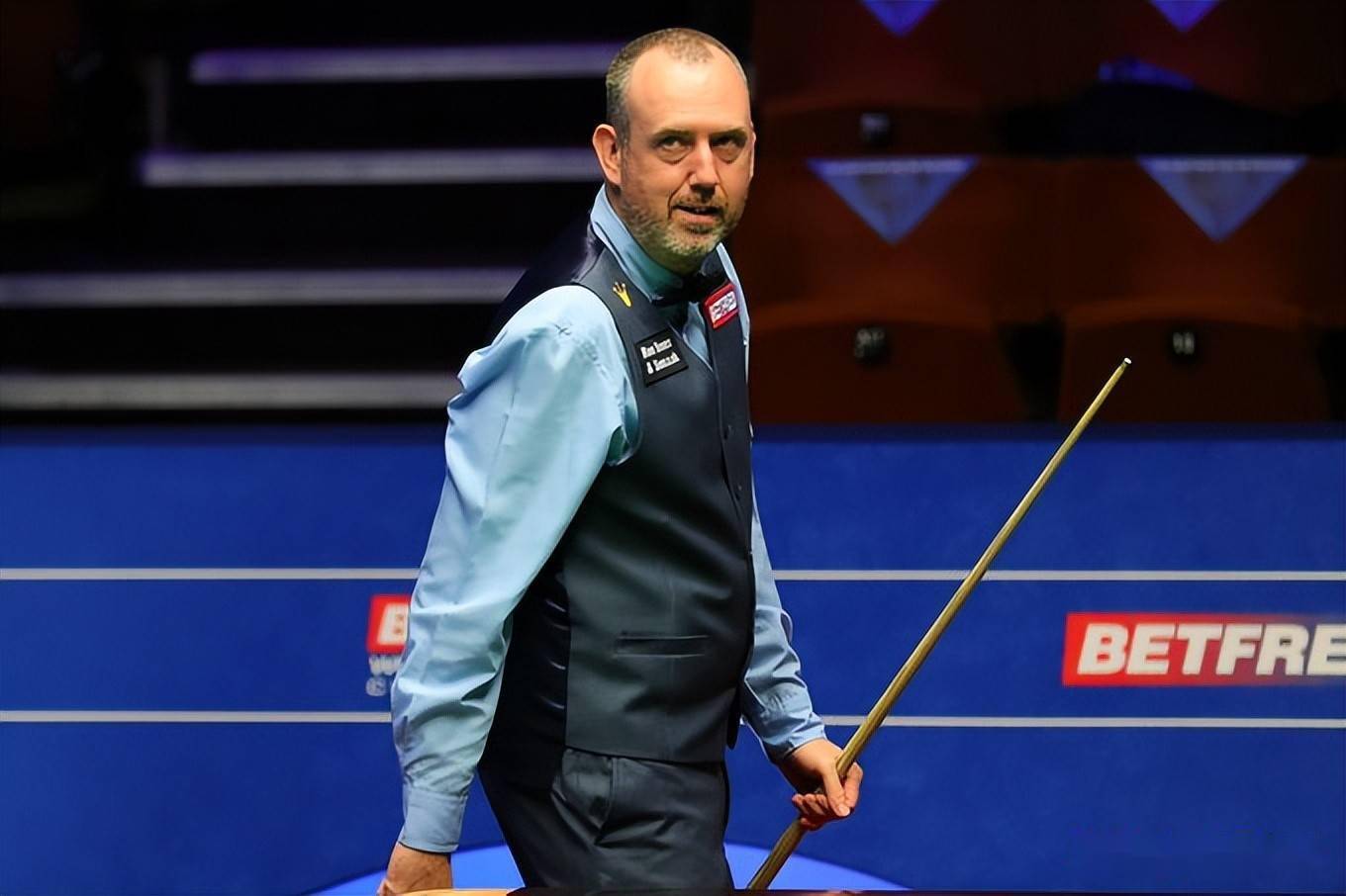 职业生涯的 职业生涯的